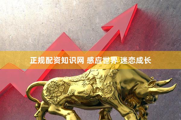 正规配资知识网 感应世界 迷恋成长