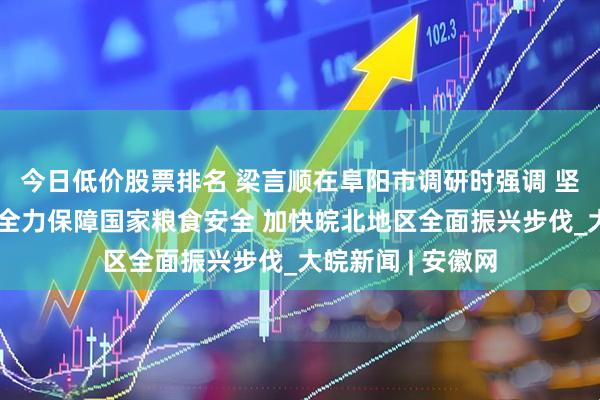 今日低价股票排名 梁言顺在阜阳市调研时强调 坚持多种粮种好粮全力保障国家粮食安全 加快皖北地区全面振兴步伐_大皖新闻 | 安徽网